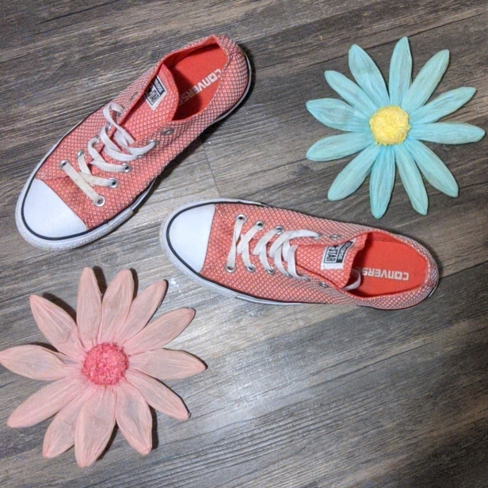 Converse low top size 9
